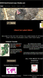 Mobile Screenshot of bestchickencoops.weebly.com