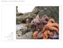 Tablet Screenshot of daveriddell.weebly.com