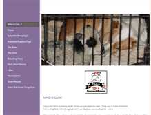 Tablet Screenshot of gaiaicelandicsheepdogs.weebly.com