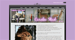 Desktop Screenshot of caraleestud.weebly.com