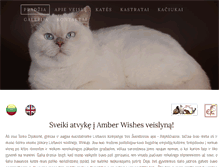Tablet Screenshot of amber-wishes.weebly.com