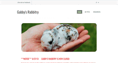 Desktop Screenshot of gabbysrabbits.weebly.com
