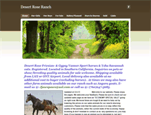 Tablet Screenshot of drranch.weebly.com