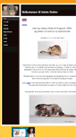 Mobile Screenshot of intetsrotter.weebly.com