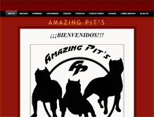 Tablet Screenshot of amazingpits.weebly.com
