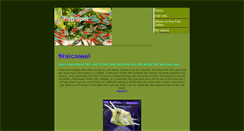 Desktop Screenshot of fishspot.weebly.com